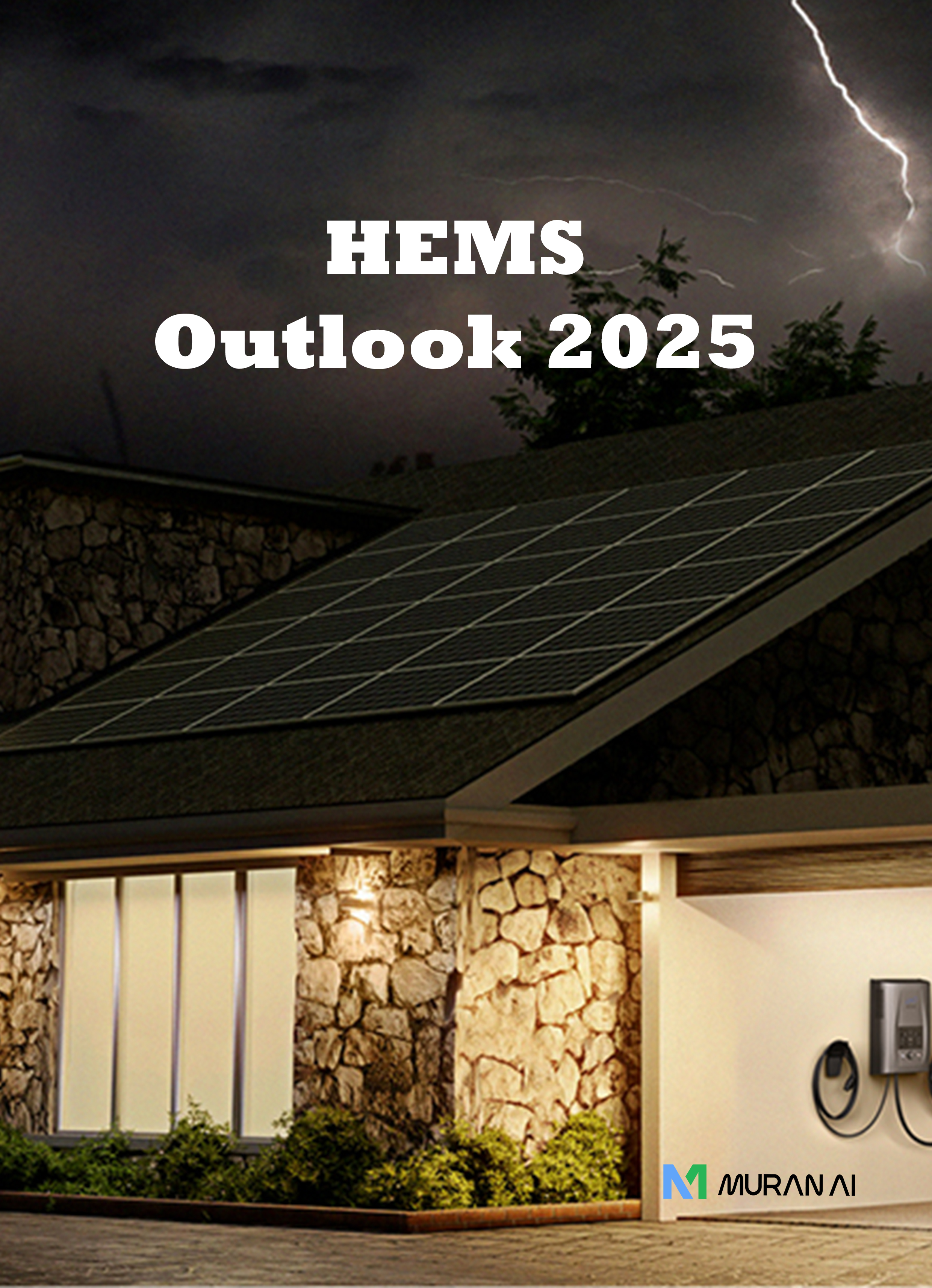 HEMS Outlook 2025 Report